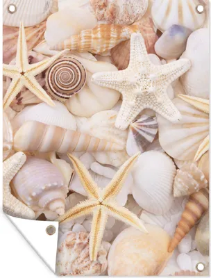 Produktbild von MuchoWow® 90x120 cm Outdoor-Poster Gartendeko Sichtschutz Garten Poster für den Garten  Seestern - Muscheln - Strand - Sommer