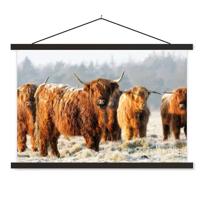 Produktbild von MuchoWow® Textilposter Schottische Highlander - Schnee - Wald 90x60 cm mit schwarzem Rahmen - Aufhängungssatz