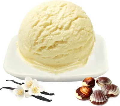 Immagine prodotto di Gelato alla vaniglia belga pralinato low carb in polvere vegan senza zucchero e senza lattosio 10 kg