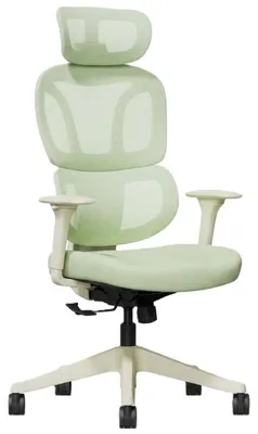 Obrázok produktu pre Ergonomická kancelárska stolička BS5LG, nosnosť 136 kg, zelená farba
