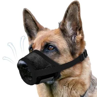 Immagine prodotto di Museruola per cani, in rete, traspirante, regolabile e leggera