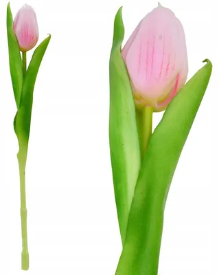 Obrázek produktu pro Umělá tulipánová růže, silikonová, realistická umělá květina, 31 cm, jarní dekorace