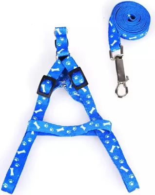 Immagine prodotto di Pettorina con guinzaglio per cani e gatti 147/1,5 cm Blu