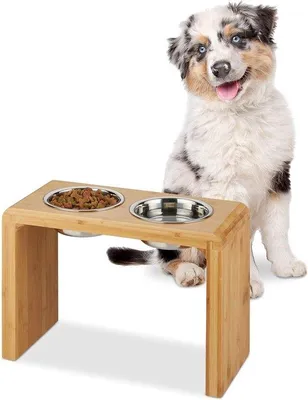 Produktbild von Famanu Futterstation für Hunde - Doppelter Futternapf aus Edelstahl - 31x45x20,5 cm