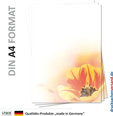 Produktbild von Motiv Briefpapier (Blumen-5116, DIN A4, 25 Blatt) Frühling Tulpen Tulpe rot-gelb Motivpapier Ostern
