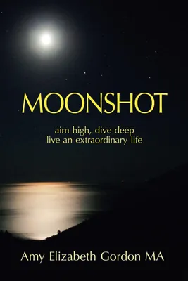 Produktbild von Moonshot