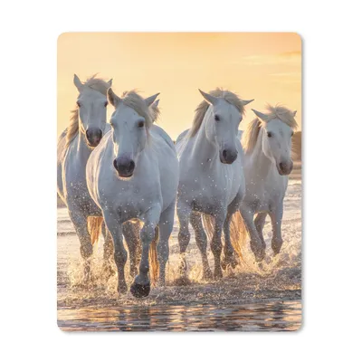 Produktbild von MuchoWow® Mauspad Mousepad Pferde - Wasser - Strand - Tiere 19x23 cm - Mousepads - Maus Mat - Pad - Mausunterlage - Mauspads - Spielen