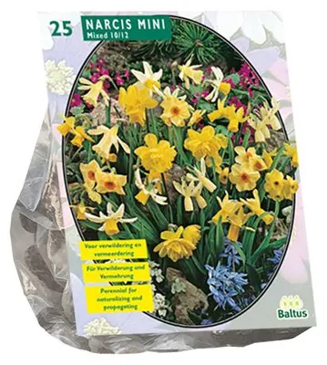 Productafbeelding van Narcis Mini Mix per 25 bloembollen Baltus