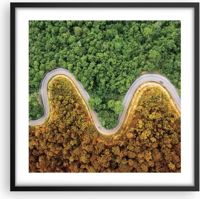 Produktbild von Gerahmtes Poster - Schwarzer Rahmen - Luftaufnahmen Weg Wald - 50x50 cm - Wand Bild - Wanddeko - Wandbilder - Kunstposter - Wandposter - Bilderrahmen - Bilder - Kunstdruck - P2BAC50x50-4659