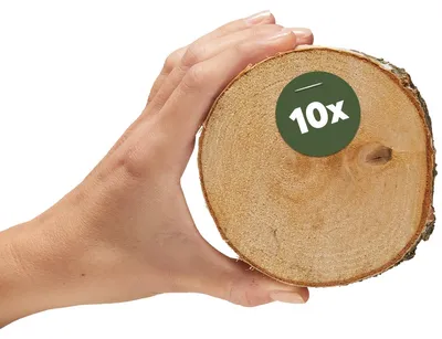 Produktbild von Kleine 10 cm Baumscheiben 10er Pack zum Holz-Deko Basteln
