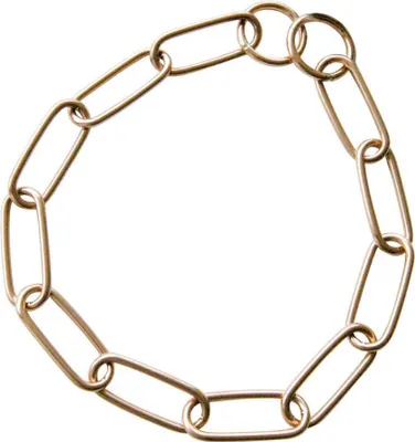 Immagine prodotto di Collare per cani Hs Sprenger lungo 54 cm