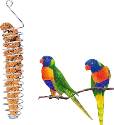 Image de Porte fruits en acier inoxydable pour mangeoire d'oiseaux en spirale pour perroquet