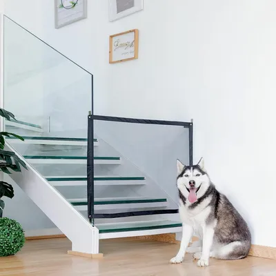 Produktbild von Haustiersicherheitsnetz Petinu InnovaGoods