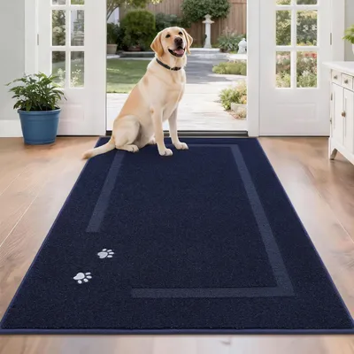 Productafbeelding van Vloermat voor Binnen - 90 x 150 cm, Wasbaar en Absorberend