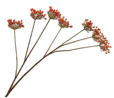 Produktbild von Silk-ka Kunstblume – Seidenblumen-Beerenzweig, orange, 106 cm
