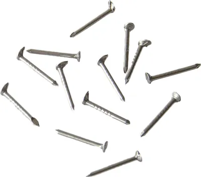 Produktbild von polsternagel 25x1,8mm (100Stück)