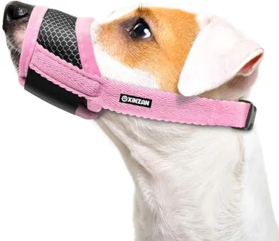 Hundemaulkorb für kleine und mittelgroße, Hauptbild
