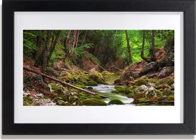 Produktbild von Bild 30x20 MDF-Rahmen Wandkunst Wald Moos Natur