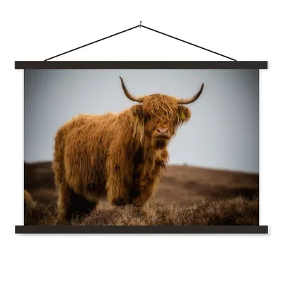 Produktbild von MuchoWow® Textilposter Schottischer Highlander - Düne - Gras 120x80 cm mit schwarzem Rahmen - Wanddeko