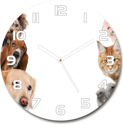 Produktbild von Wanduhr aus Glas 30fi Glasbild Glasuhr Gehärtetes Glas - weisse-zeiger - Dogs and cats
