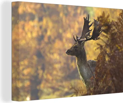 Produktbild von OneMillionCanvasses® - Leinwandbilder - 140x90 cm, Hirsche - Geweihe - Herbst, Wandbilder Kunstdruck Wanddekoration