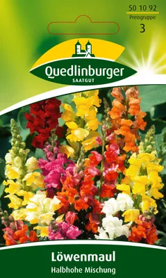 Produktbild von Löwenmaul Halbhohe riesenblumige Mischung | Löwenmaulsamen von Quedlinburger