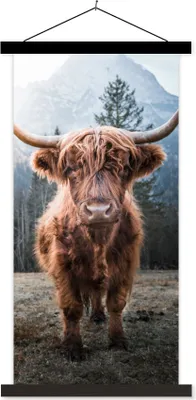 Produktbild von MuchoWow® Textilposter Schottisches Hochlandrind - Berg - Tier 90x180 cm mit schwarzem Rahmen - Dekoration Wohnzimmer