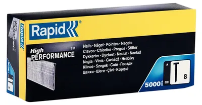 Image de Clous galvanisés n° 8/25 mm - 5000 pièces - Boite en carton - RAPID-ISABERG - 40014272