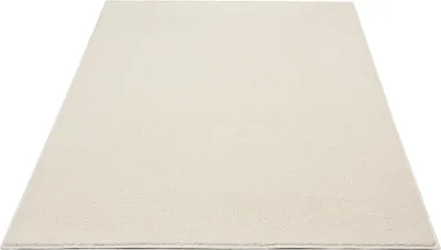 Produktbild von Hochflor Shaggy Teppich Wohnzimmer Langflor Einfarbig Uni  Creme