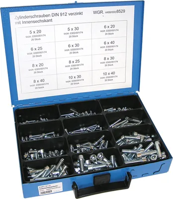 Produktbild von Dresselhaus Sortiment Schrauben 4499/000/06 8529 Stahl