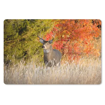 Produktbild von MuchoWow® Schreibtischunterlage Hirsche - Geweihe - Wald 60x40 cm - XXL Mauspad - Großes Mauspad