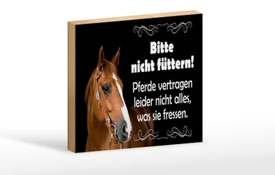 Produktbild von Holzschild Spruch 18x12cm bitte nicht füttern Pferde