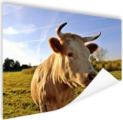 Produktbild von MuchoWow® Poster Kuh - Bauernhof - Natur 120x90 cm - Wandbild