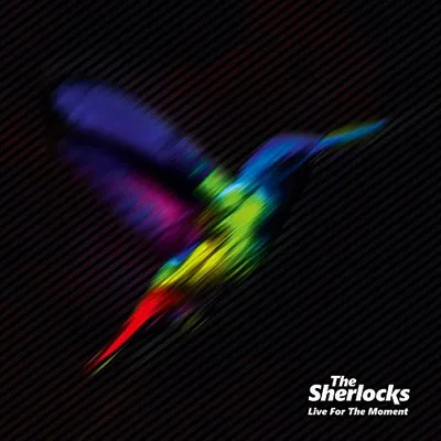 Produktbild von Die Sherlocks - Live für den Moment CD