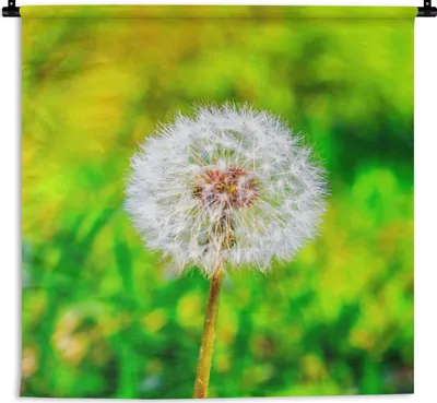 Produktbild von MuchoWow® Wandteppich Wandbehang Löwenzahn - Gras - Blume 60x60 cm Tapisserie Dekoration Wandtuch - Dekorationen - Wand Decke
