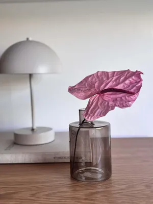 Produktbild von Konservierte Anthurie Pink 30cm Dekoblume für Vasen Tischdeko Pflegefrei