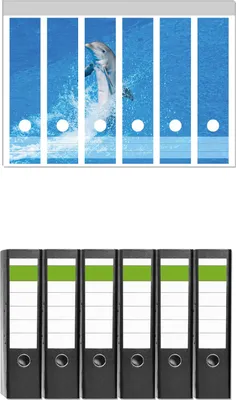 Produktbild von Wallario 6 Stück breite Ordner inkl. Klebeetiketten mit Motive Fröhlicher Delfin im blauen Wasser -  Set mit Rückenschildern / Ordnerrücken Stickern