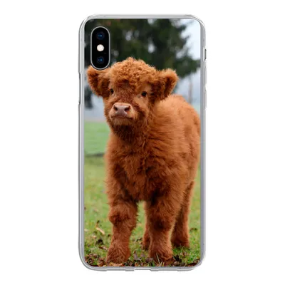 Produktbild von MuchoWow® Handyhülle Schutzhülle Hülle für iPhone Xs Scottish Highlander - Kalb - Gras Silikon Softcase Handy Hülle - Handytasche