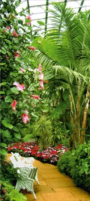 Immagine prodotto di Sanders & Sanders Poster piante tropicali verde - 600802 - 90 x 202 cm