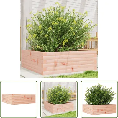 Produktbild von The Living Store Pflanzkübel 70x70x23 cm Massivholz Douglasie