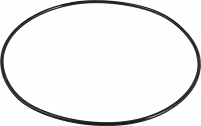 A black o-ring gasket on a white background.