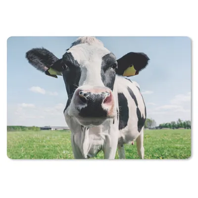 Produktbild von MuchoWow® Schreibtischunterlage Kuh - Wiese - Natur - Tiere - Gras 60x40 cm - XXL Mauspad - Großes Mauspad
