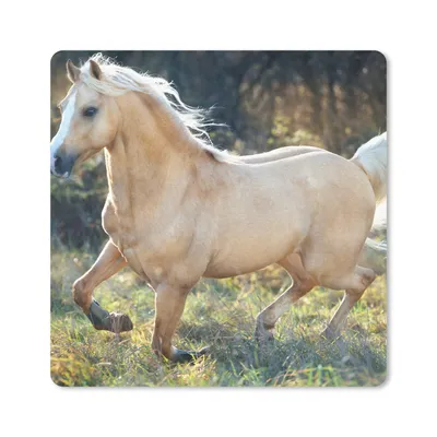 Produktbild von MuchoWow® Mauspad Mousepad Pferd - Natur - Braun 20x20 cm - Mousepads - Maus Mat - Pad - Mausunterlage - Desk Mat - Bureauartikeln