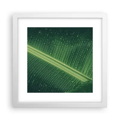Produktbild von Gerahmtes Poster - Weißer Rahmen - Makro Blatt Tropfen - 30x30 cm - Wand Bild - Wanddeko - Wandbilder - Kunstposter - Wandposter - Bilderrahmen - Bilder - Kunstdruck - Wanddekoration - P2WAC30x30-4372