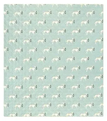 Image de Couverture de camping Naturehike Adventure Companion L CNK2350WS010 240 x 210 cm, verte