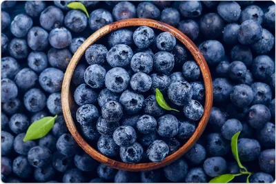 Produktbild von Küchenmatte 60x90 cm Vinylmatte Bodenmatte Dekoration - Heidelbeeren in Schüssel