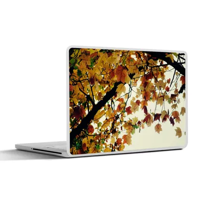 Produktbild von MuchoWow® Laptop Aufkleber Sticker Cover Bäume - Herbstblätter - Natur 30x22 cm - Laptop-Sticker