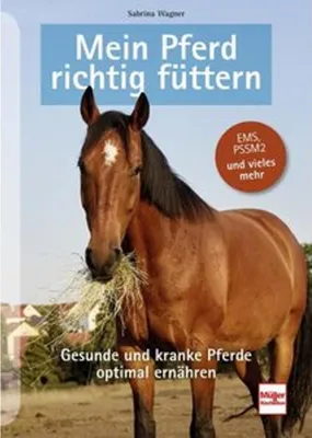 Image de Mein Pferd richtig füttern