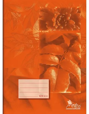 Produktbild von Rechter Winkel 424 orange