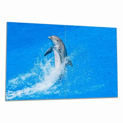 Produktbild von Wallario Herdabdeckplatte aus Glas, Größe 80 x 52 cm 2-teilig, Motiv Fröhlicher Delfin im blauen Wasser